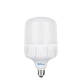 50 Watt LED Bulb - T125