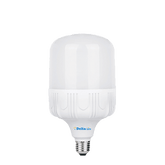 50 Watt LED Bulb - T125