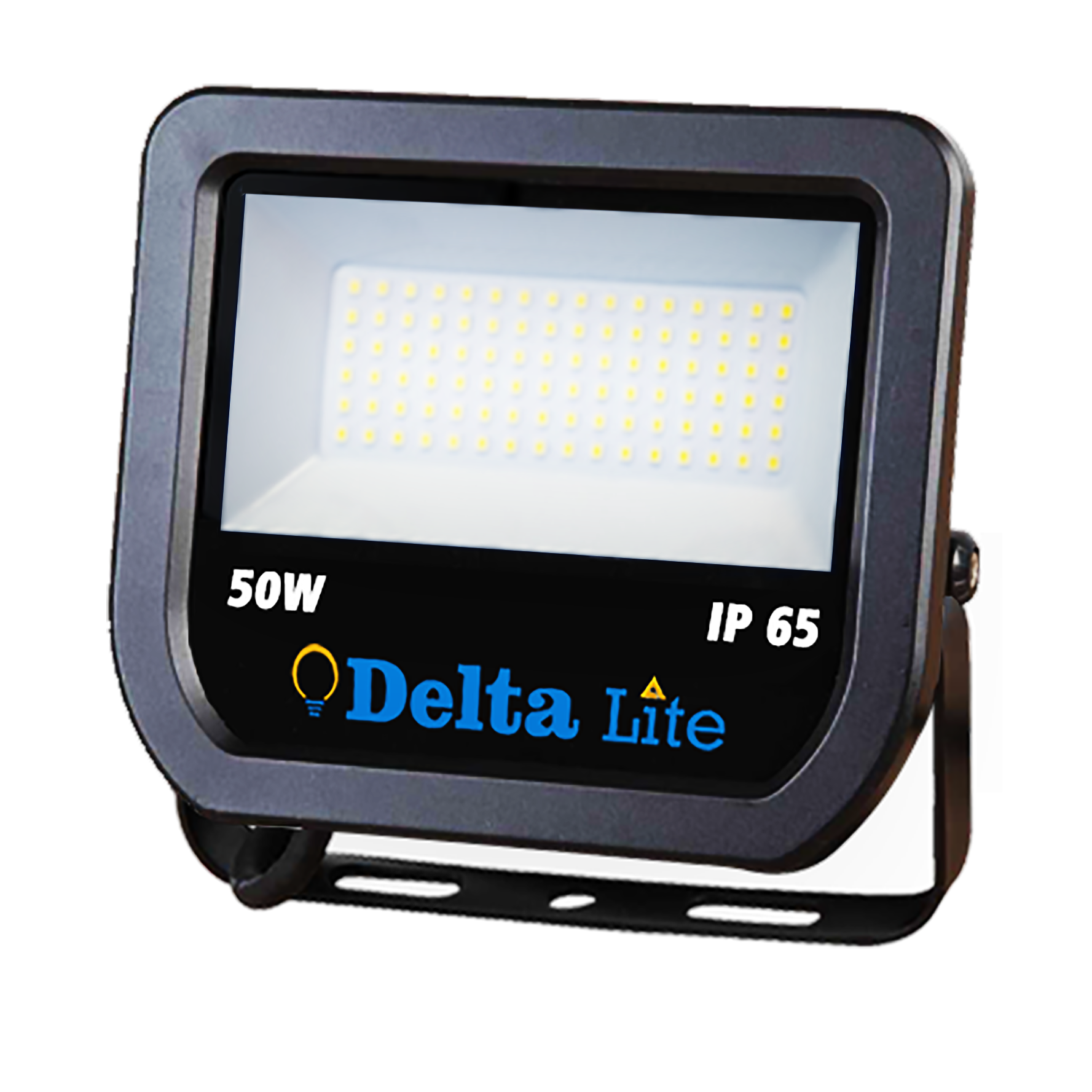 50 Watt LED Flood light