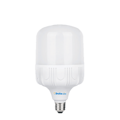 50 Watt LED Bulb - T125