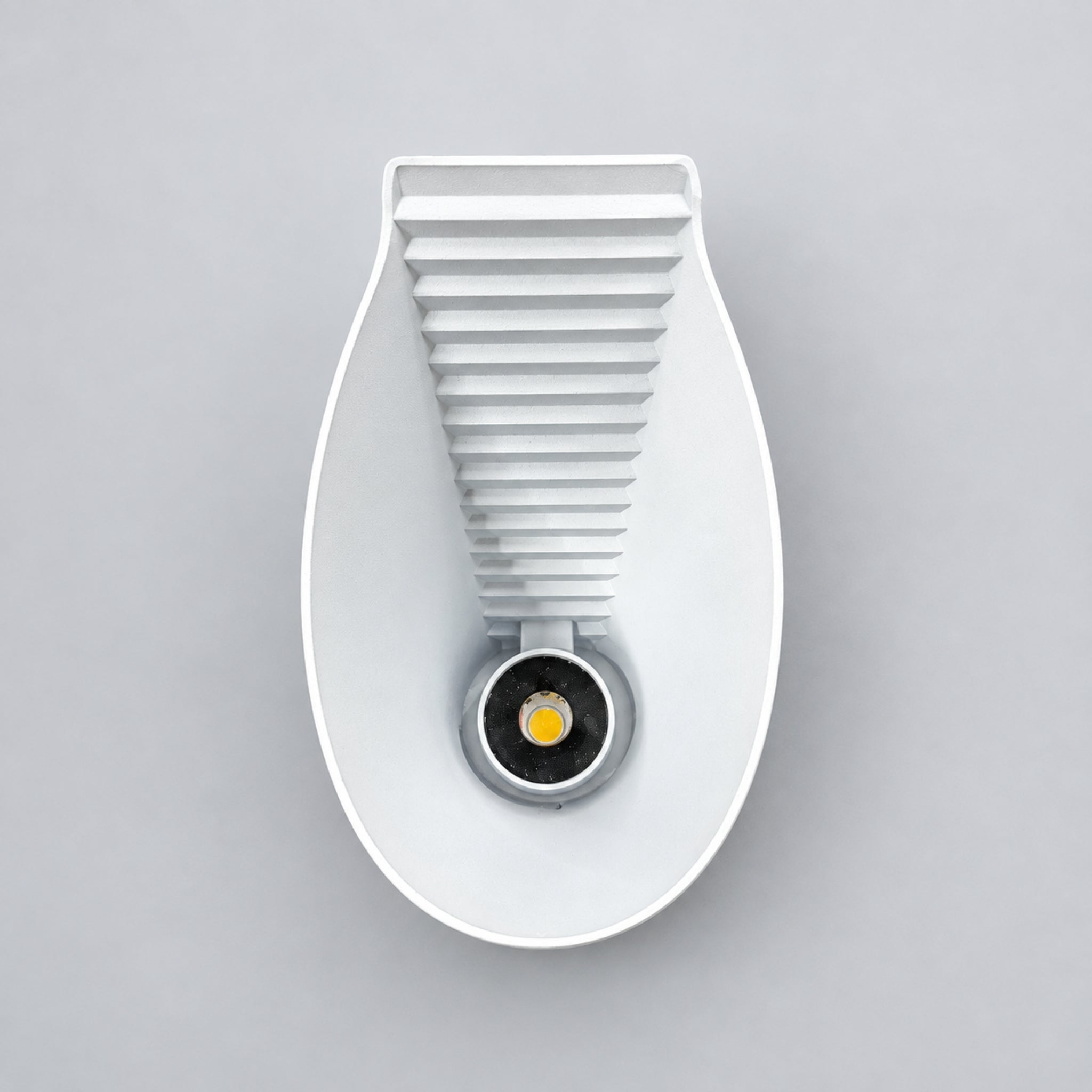 FLASK LIGHT TOP VIEW 
