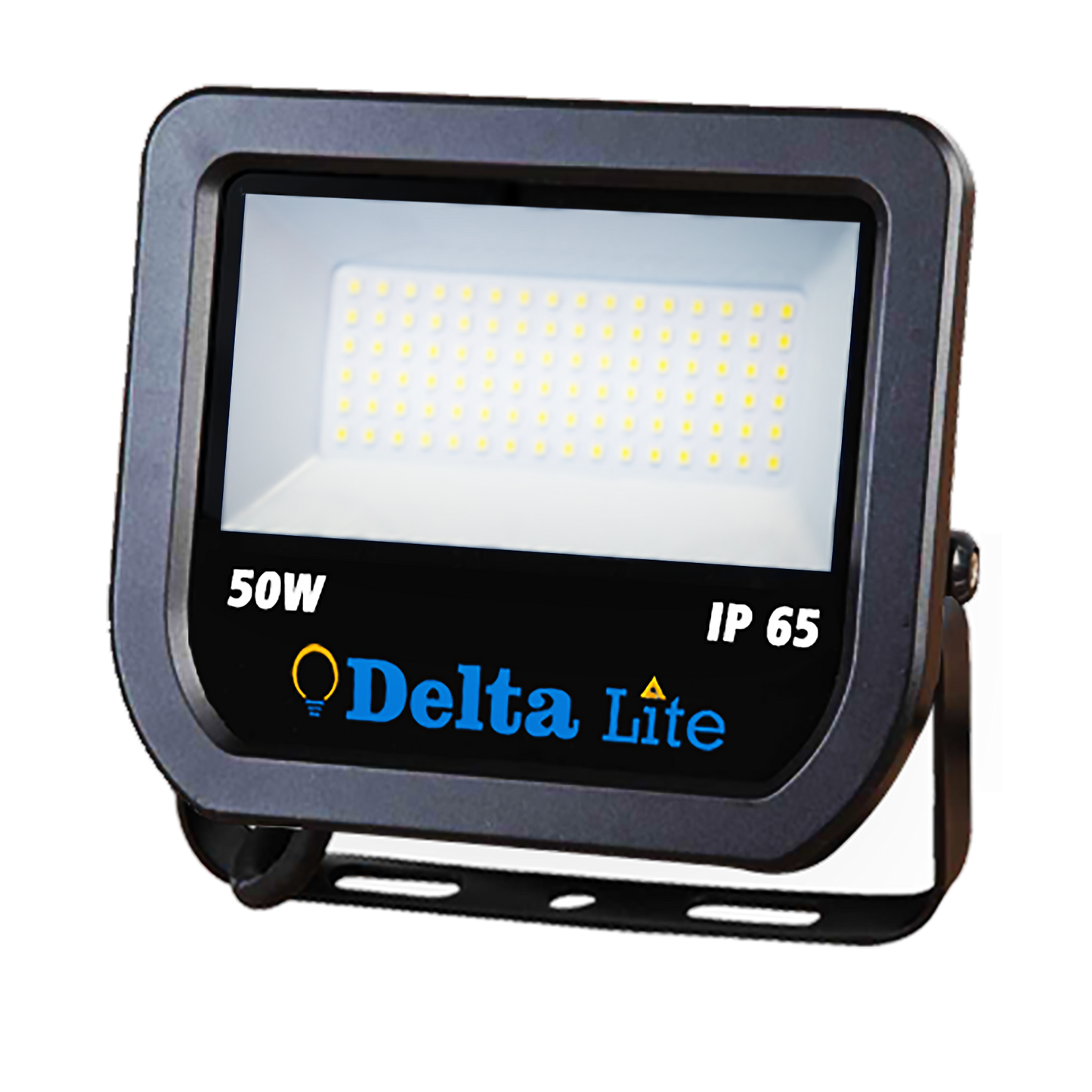 50 Watt LED Flood light