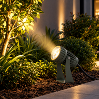 Delta 10W Beam Spotlight - Waterproof