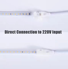 DLite LED Rope Light For Ceiling | 70 Meter | (6.8mm) | 80 LED/Meter