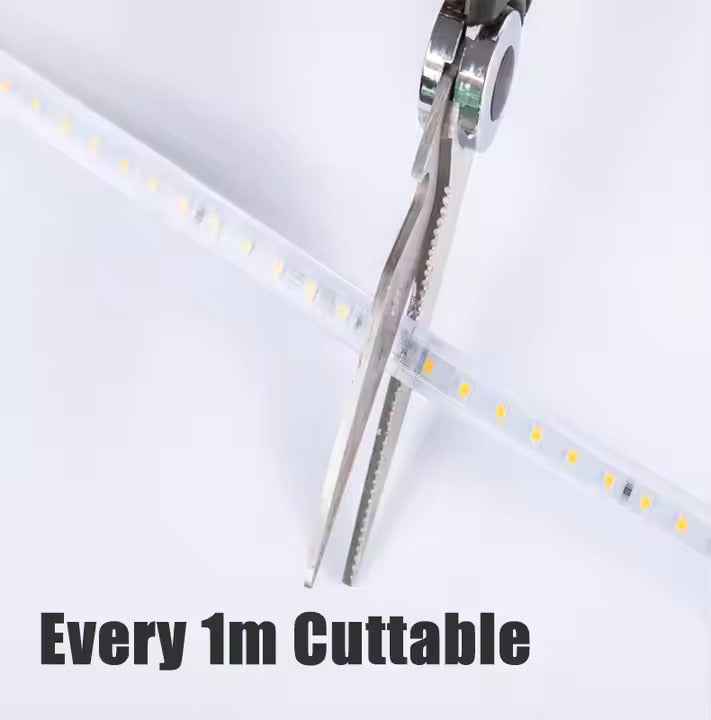Ceiling Rope Light - 8 mm Wireless Rope Light 120LED/M (50M Coil ...