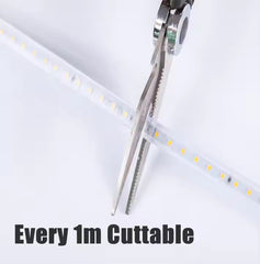 DLite LED Rope Light For Ceiling | 70 Meter | (6.8mm) | 80 LED/Meter