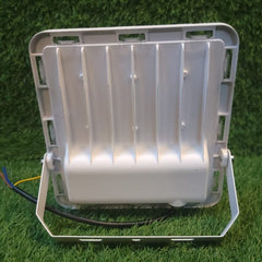 DLite LED Flood Light 100 Watt IP66 Water Proof